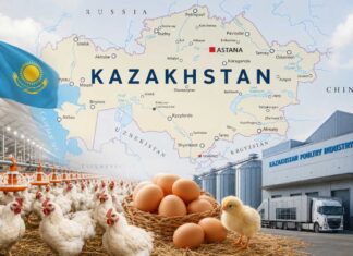 Kazakhstan poultry industry growth: broiler production, egg market, government support and export potential