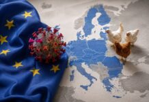 Avian influenza activity declines across Europe as spring ends