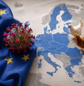 Avian influenza activity declines across Europe as spring ends