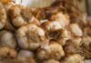 Garlic allicin as a promising alternative to antibiotics in broilers