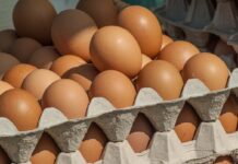 Push for local eggs in Austrian retail