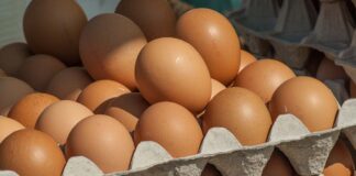 Push for local eggs in Austrian retail