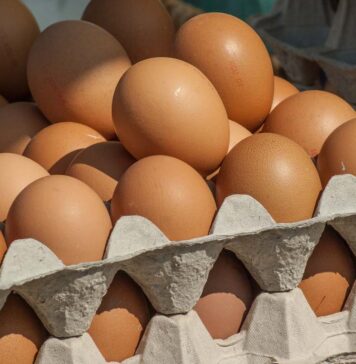 Push for local eggs in Austrian retail