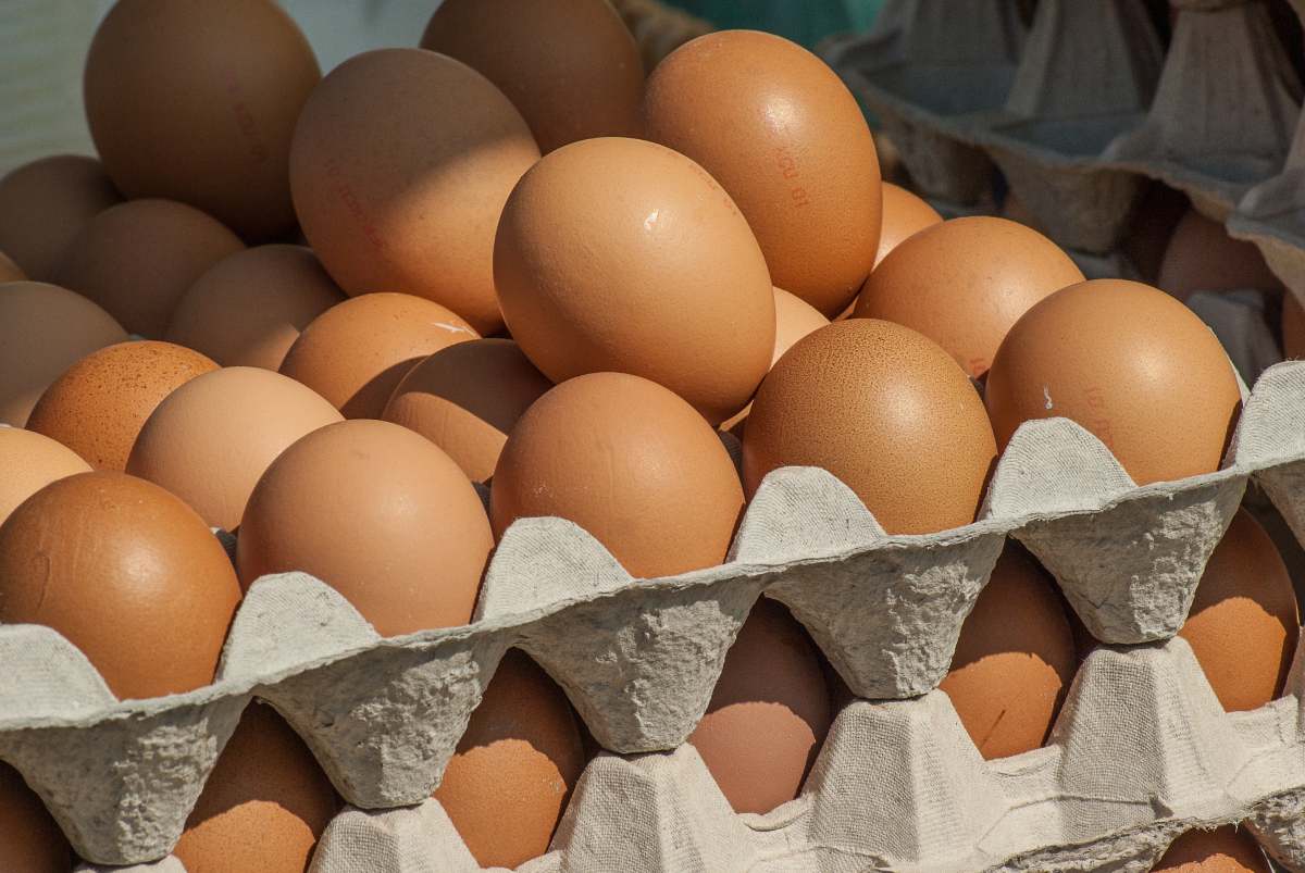 Push for local eggs in Austrian retail