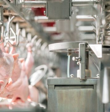 The role of the G20 group in global meat production and trade. Part 2: global meat exports