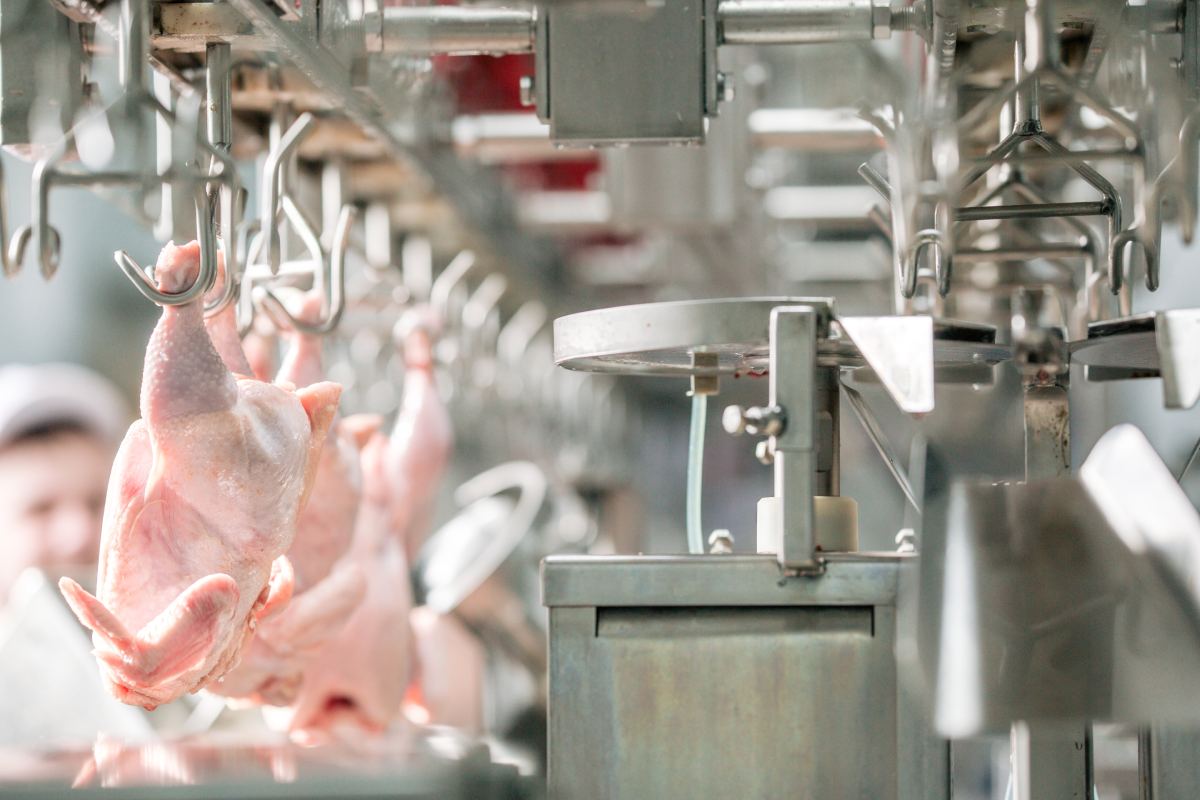 The role of the G20 group in global meat production and trade. Part 2: global meat exports