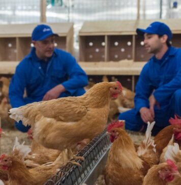 Avian cholera: epidemiology, transmission and control measures