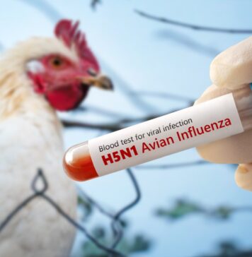 New Zealand moves to require bird flu biosecurity plans for poultry farms