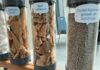 The effect of bakery by-products on digestion, hen health, and egg-laying performance