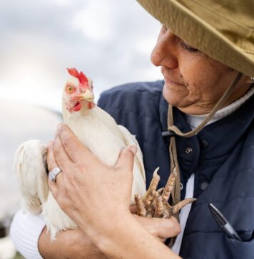 2027 USPOULTRY Family Farm Environmental Excellence Award open for nominations