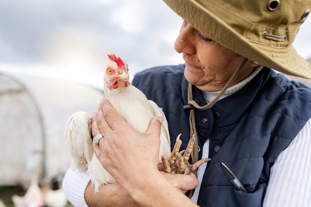 2027 USPOULTRY Family Farm Environmental Excellence Award open for nominations