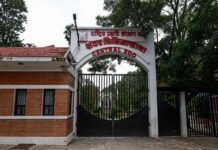 Bird flu spreads in Nepal: over 600,000 poultry culled