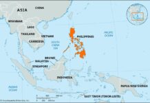 Philippines reports H5N1 bird flu outbreak among backyard birds in Oriental Mindoro