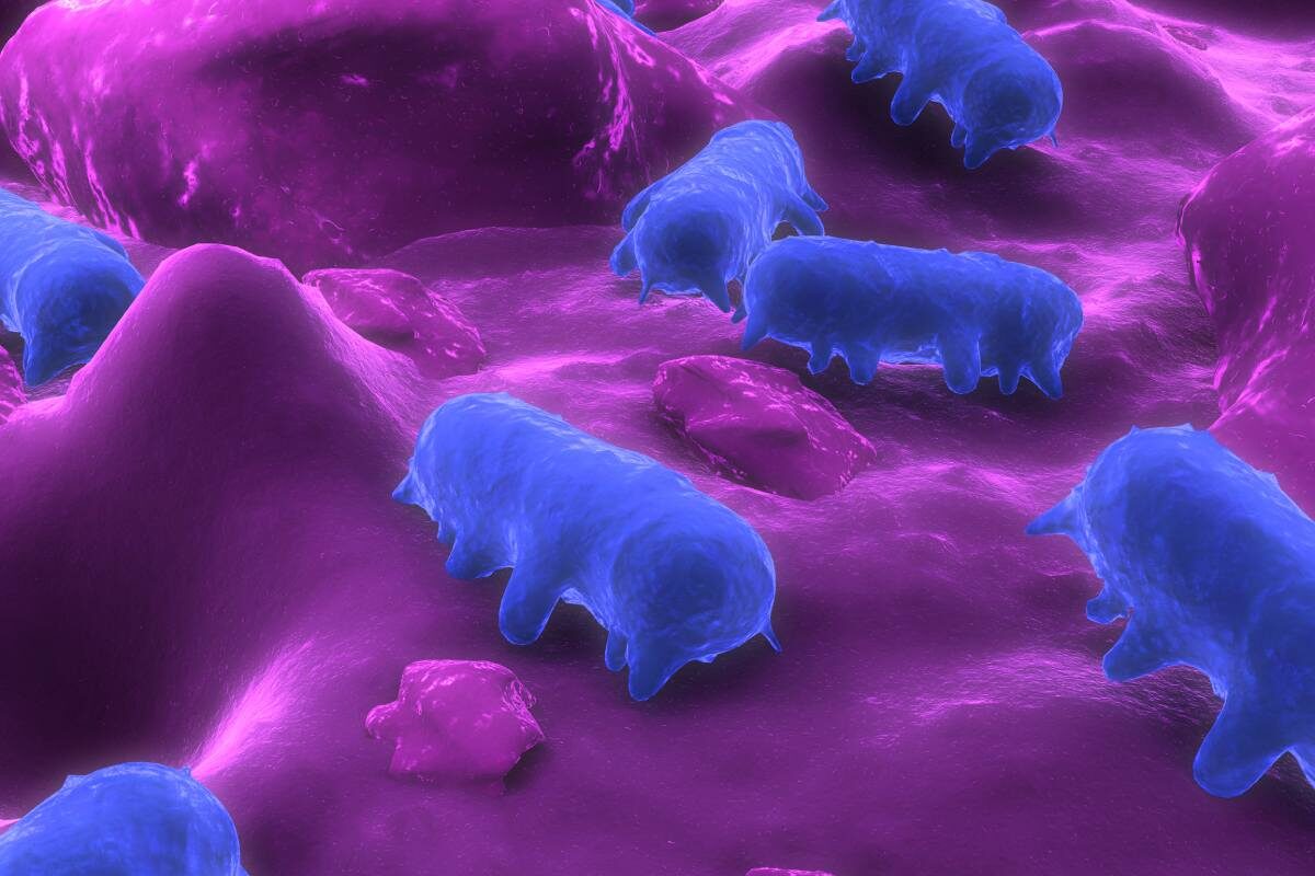 Research shows promise for AI-based Salmonella detection in poultry