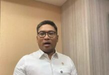 Indonesia eyes China and the Middle East for poultry exports