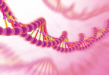 World Zoonoses Day: prevention starts on the farm