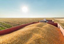 Brazil debates possible feed additive restrictions as it races to meet EU antimicrobial rules
