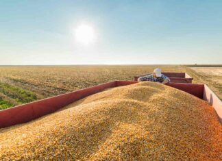 Brazil debates possible feed additive restrictions as it races to meet EU antimicrobial rules