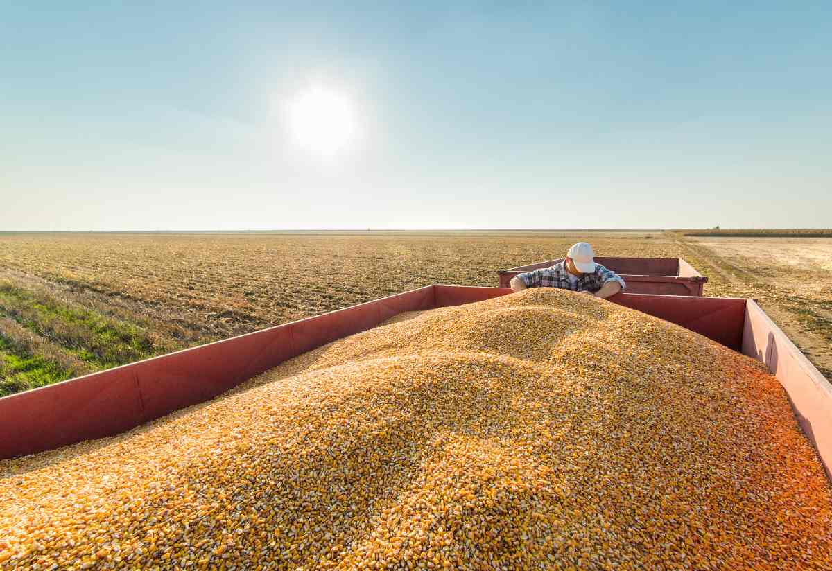 Brazil debates possible feed additive restrictions as it races to meet EU antimicrobial rules