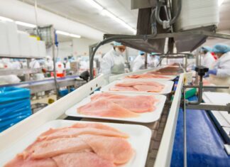 2026 USPOULTRY Financial Management Seminar explores leadership, market dynamics and the future of animal protein