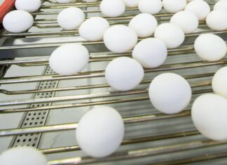 Cold weather pushes up egg prices in Tanzania’s Iringa Region