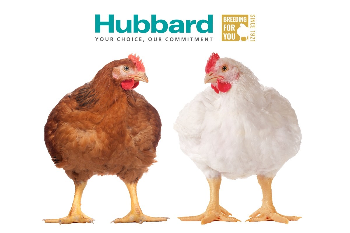 Hubbard to attend SPACE 2026