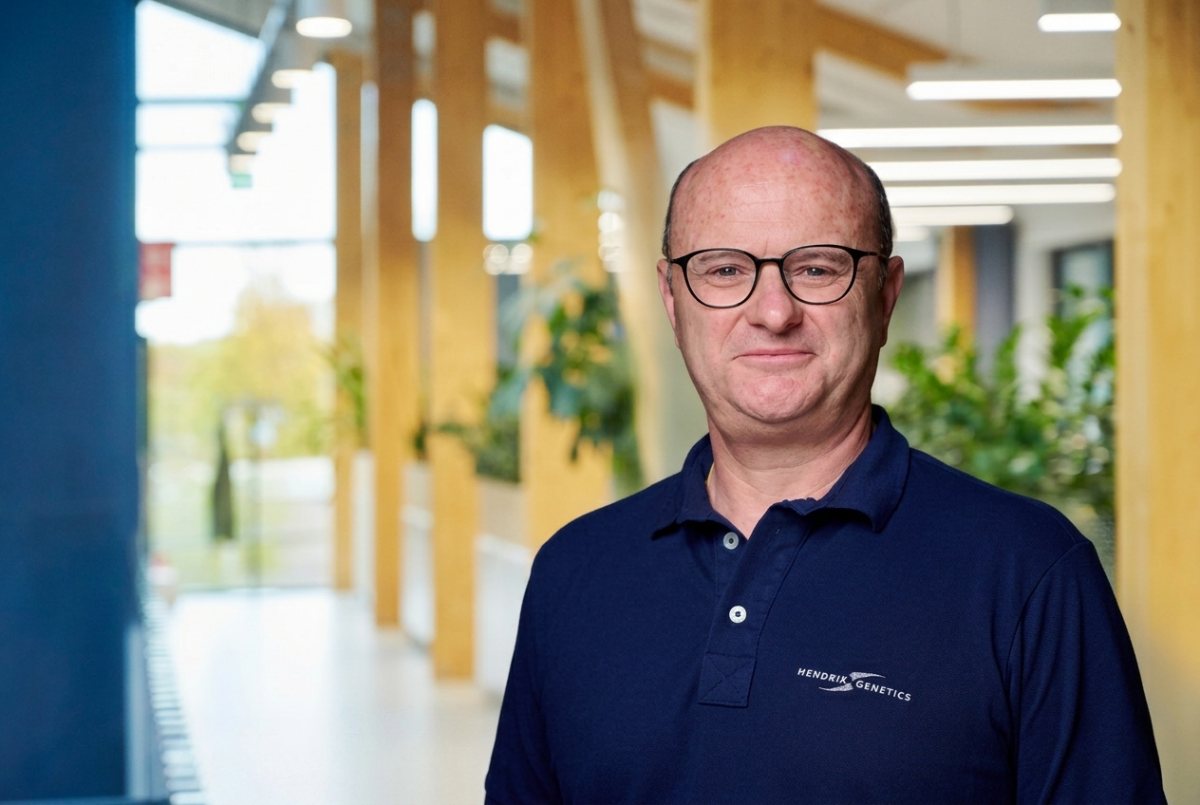 Hendrix Genetics expands in Ibera with Pintobar acquisition