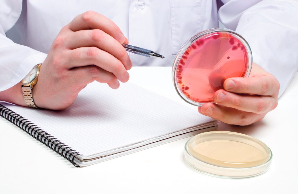 Beyond detection: how to interpret Salmonella results in breeder flocks and egg production