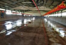 USPOULTRY Seminar to tackle emerging live production, welfare and biosecurity challenges