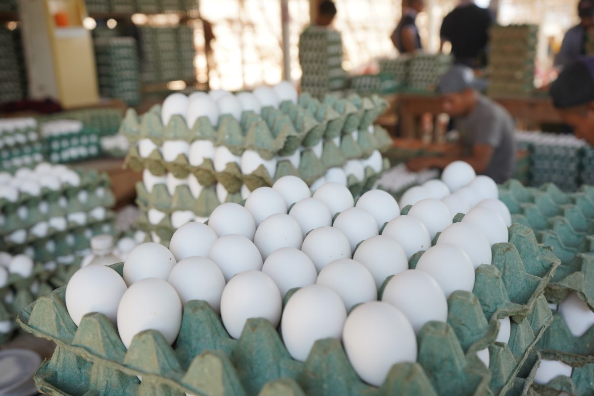India leverages cost advantages, but geopolitical tensions affect its egg exports