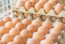 Egg prices hit record highs in Nepal as bird flu cuts flock and demand surges