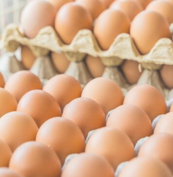 Egg prices hit record highs in Nepal as bird flu cuts flock and demand surges