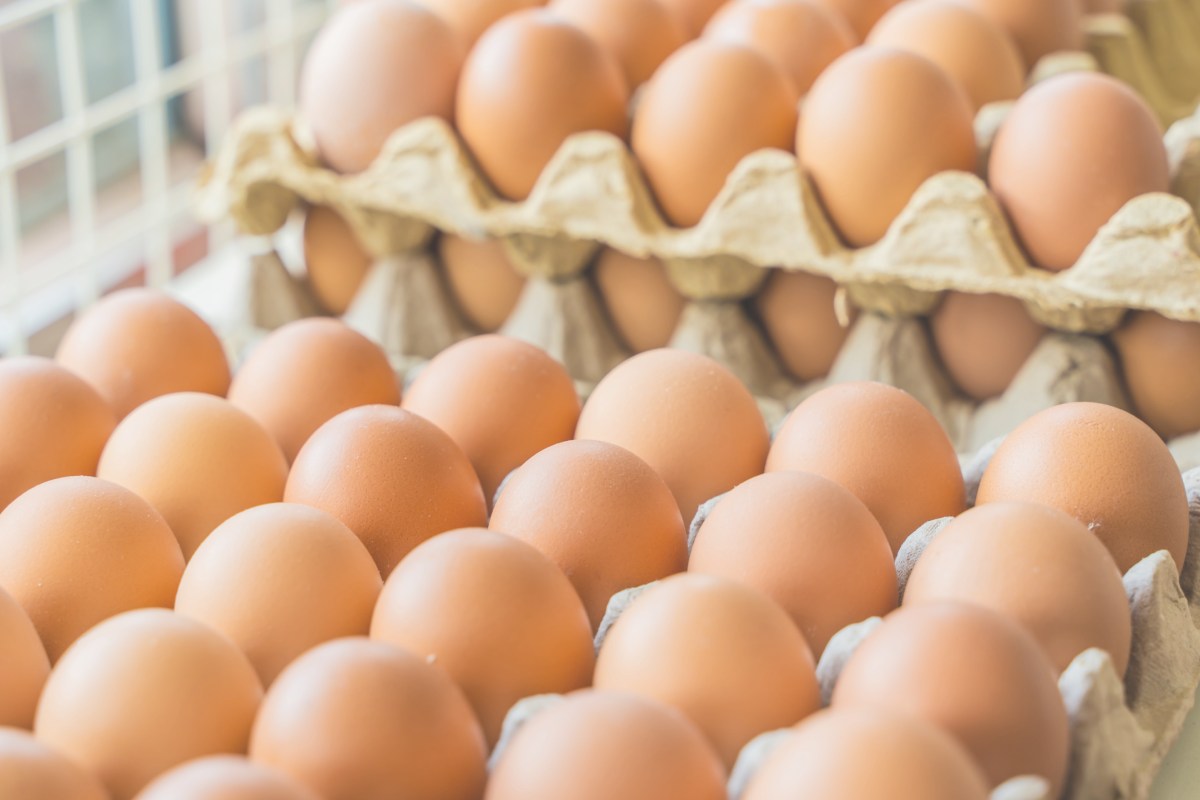 Egg prices hit record highs in Nepal as bird flu cuts flock and demand surges