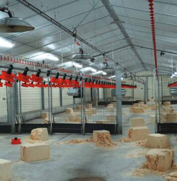 Cleaning and disinfection of poultry house: a key step in poultry farm biosecurity
