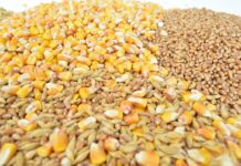 FEFAC and Sindirações sign Memorandum of Understanding to strengthen cooperation and to facilitate a more connected and resilient global feed sector