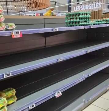 French eggs: victims of their own success
