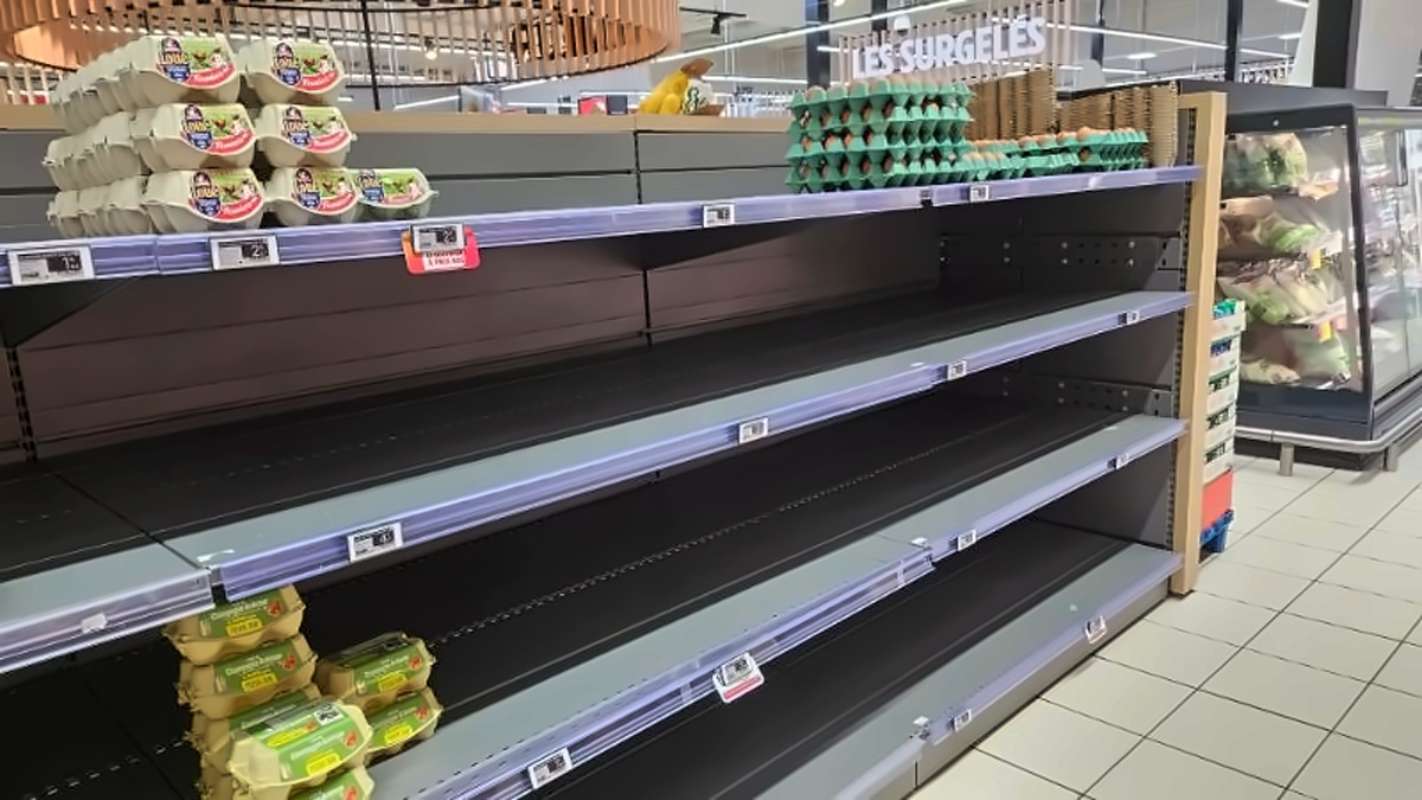 French eggs: victims of their own success