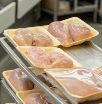 The role of the G20 group in global meat production and trade. Part 3: global meat imports