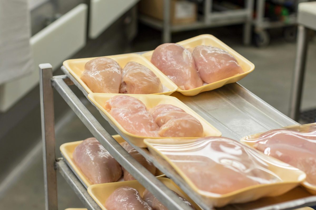 EU poultry meat production forecast to rise 3.3% in 2026