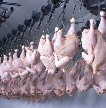 UK urged to ban Brazilian meat imports over antibiotic and AMR concerns