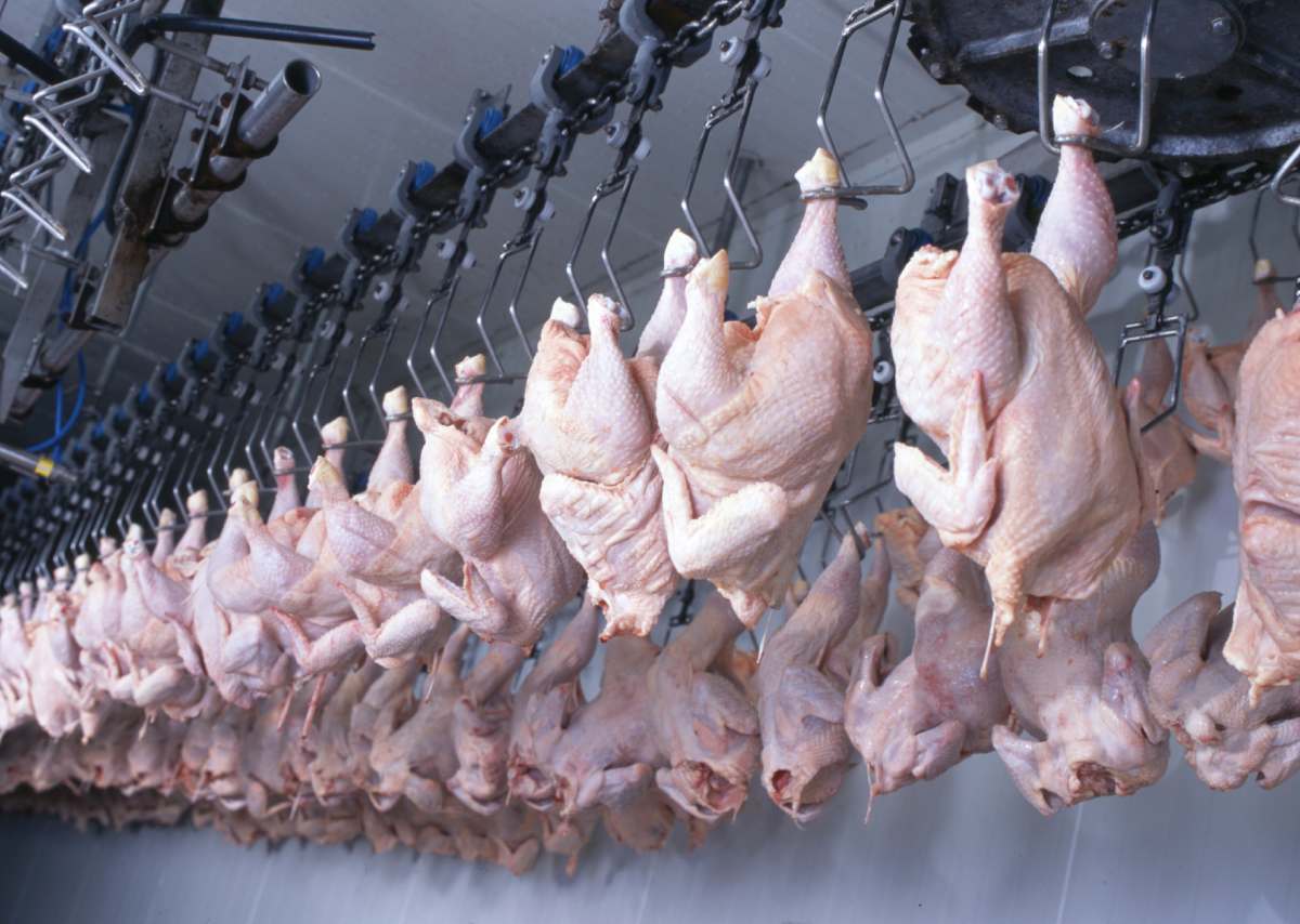 UK urged to ban Brazilian meat imports over antibiotic and AMR concerns