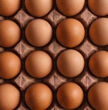 Taiwan egg prices reach two-year high