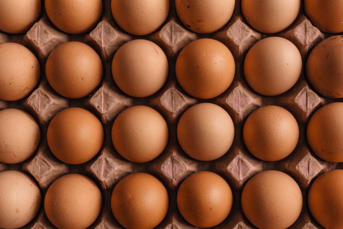 Taiwan egg prices reach two-year high