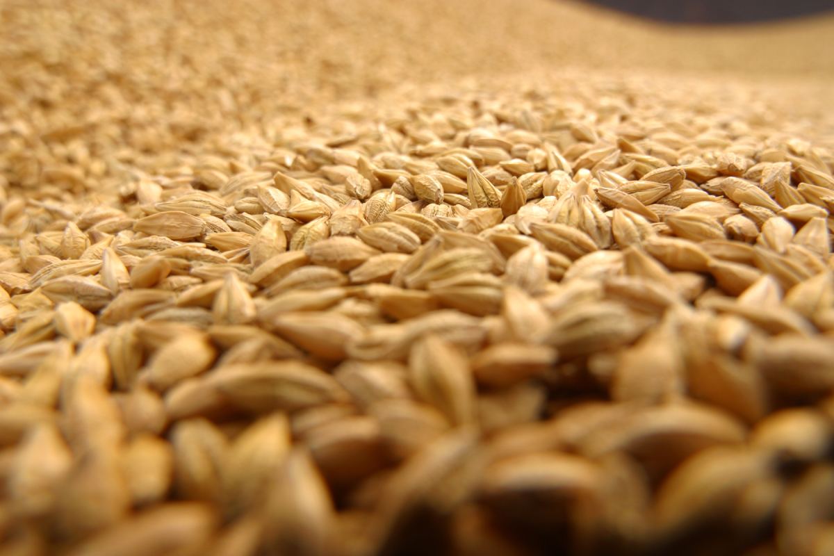 FEFAC and Sindirações sign Memorandum of Understanding to strengthen cooperation and to facilitate a more connected and resilient global feed sector