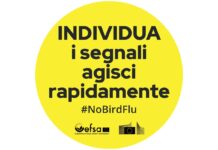 #NoBirdFlu: EFSA and European Commission announce practical resources to reduce bird flu risk