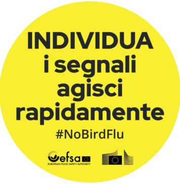 #NoBirdFlu: EFSA and European Commission announce practical resources to reduce bird flu risk