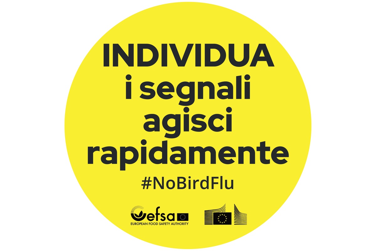 #NoBirdFlu: EFSA and European Commission announce practical resources to reduce bird flu risk