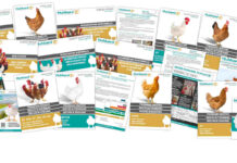 Hubbard launches its new website
