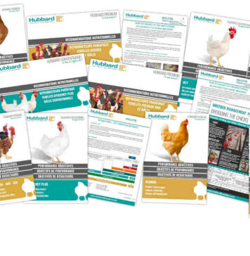 Hubbard launches its new website