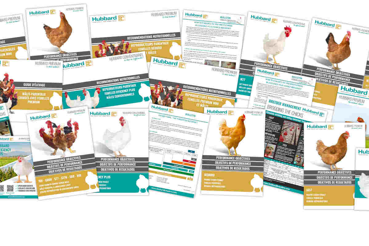 Hubbard launches its new website